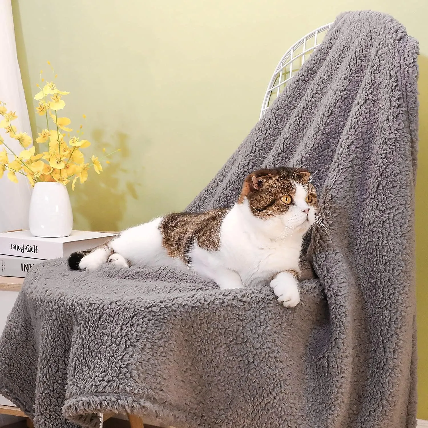 2 Pack Dog Blanket for Medium Size Dogs & Cats Soft Sherpa Fleece Pet Blanket Throw for Sofa, Couch Thick Durable Pet Bed Cover, Floor Mat(Medium (3240"), Grey Blanket)
