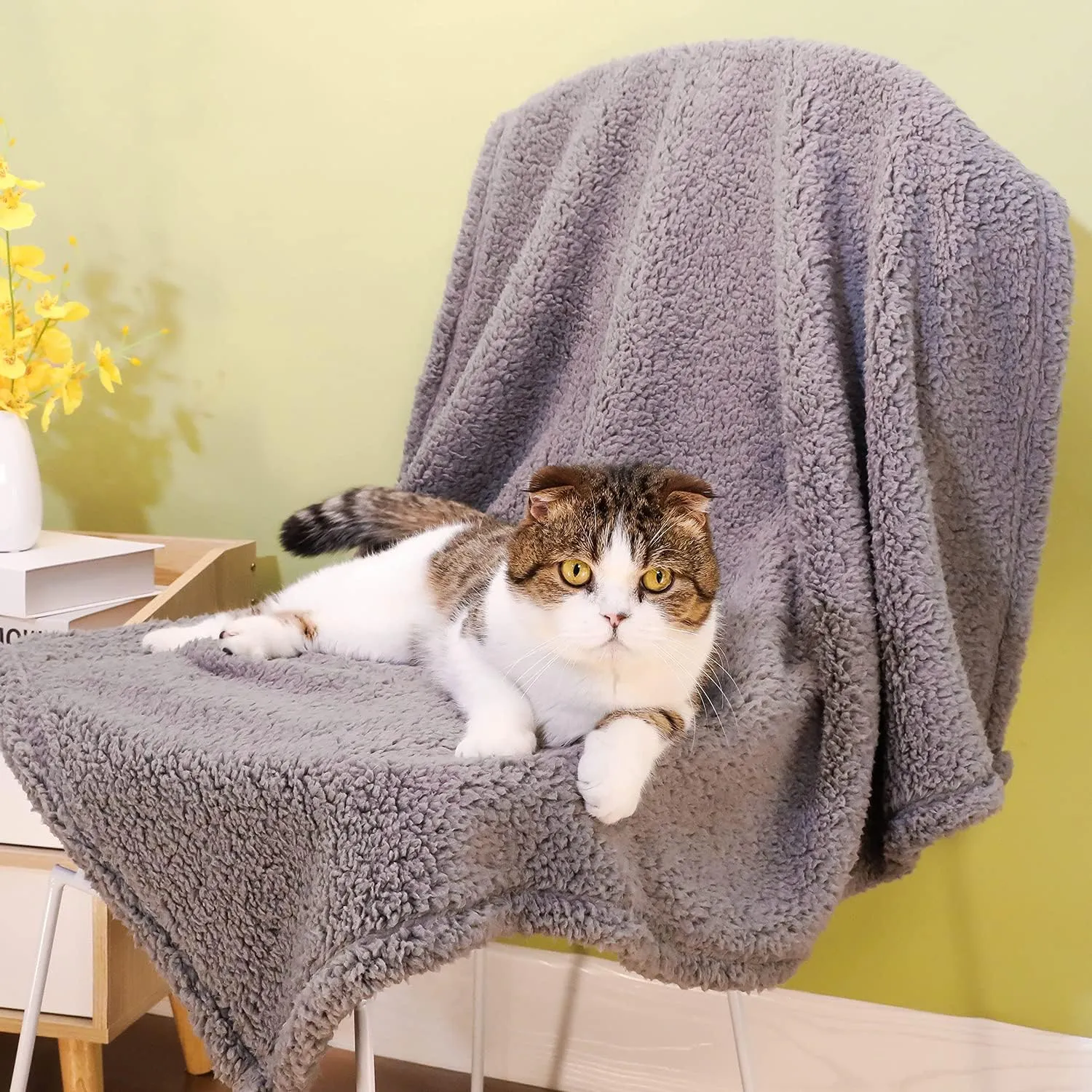 2 Pack Dog Blanket for Medium Size Dogs & Cats Soft Sherpa Fleece Pet Blanket Throw for Sofa, Couch Thick Durable Pet Bed Cover, Floor Mat(Medium (3240"), Grey Blanket)