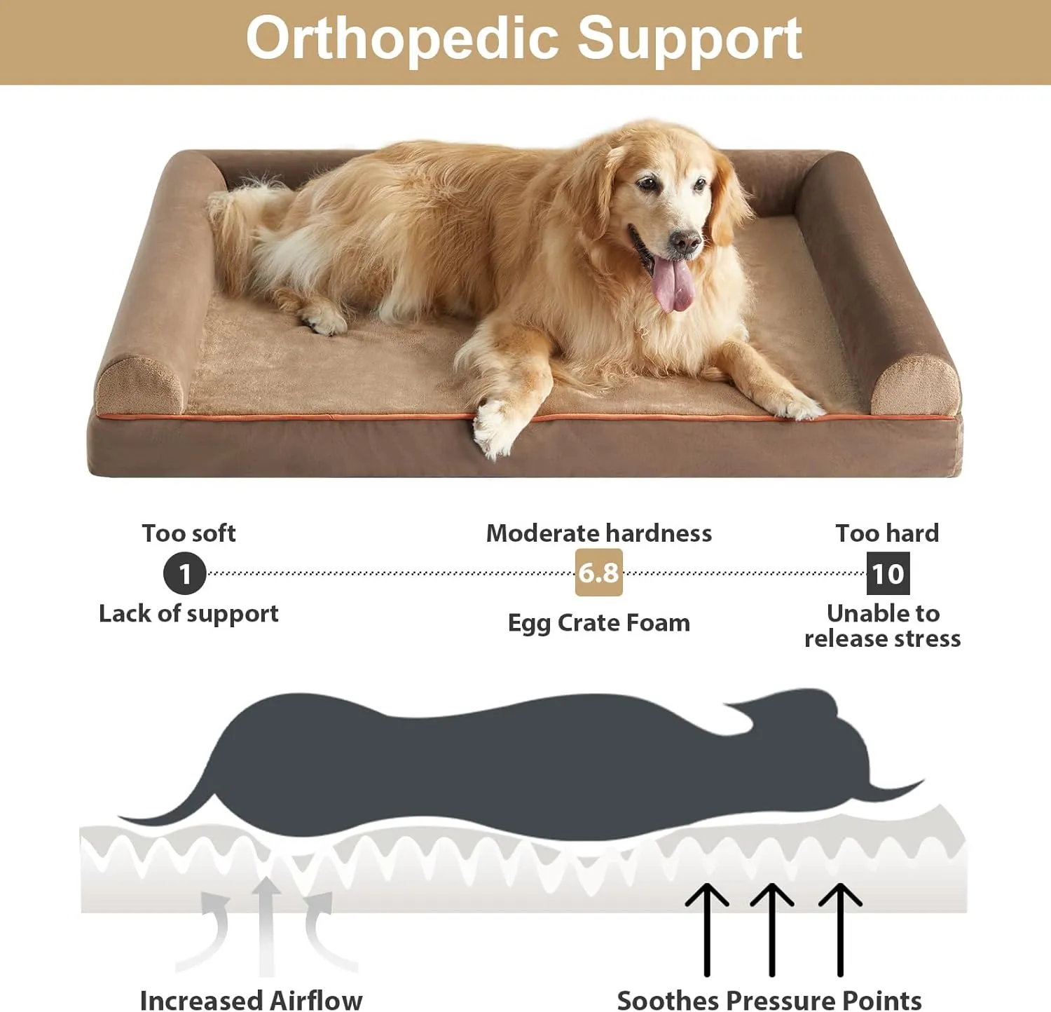 BFPETHOME Washable Large Dog Bed, Big Couch Bed with Removable Washable Cover, Orthopedic Egg-Crate Foam & Waterproof Lining