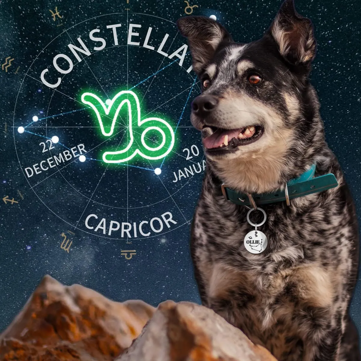 Constellation Dogs ID Tags Personalized Double Sided Deep Engraved Cat & Dog Collar Charm Round Shape Silver Plated Small