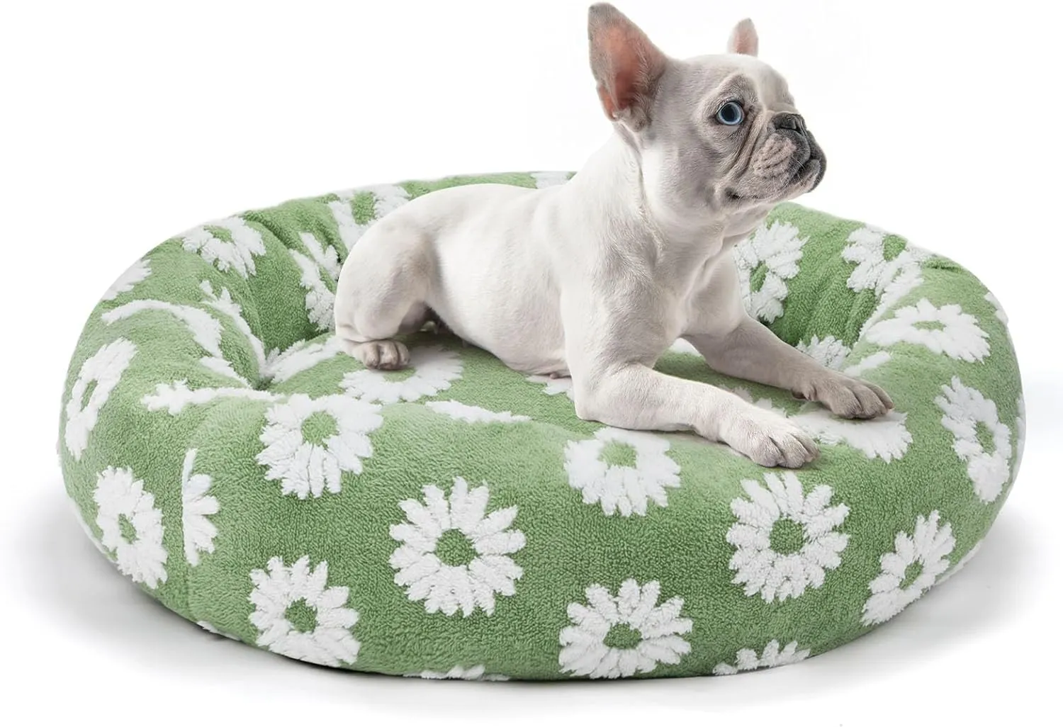 Donut Medium Dog Bed - 31 Inch Clam Shell Round Cuddler Pet Bed, Removable Washable Cover, Anti-Slip Bottom - Green Flower