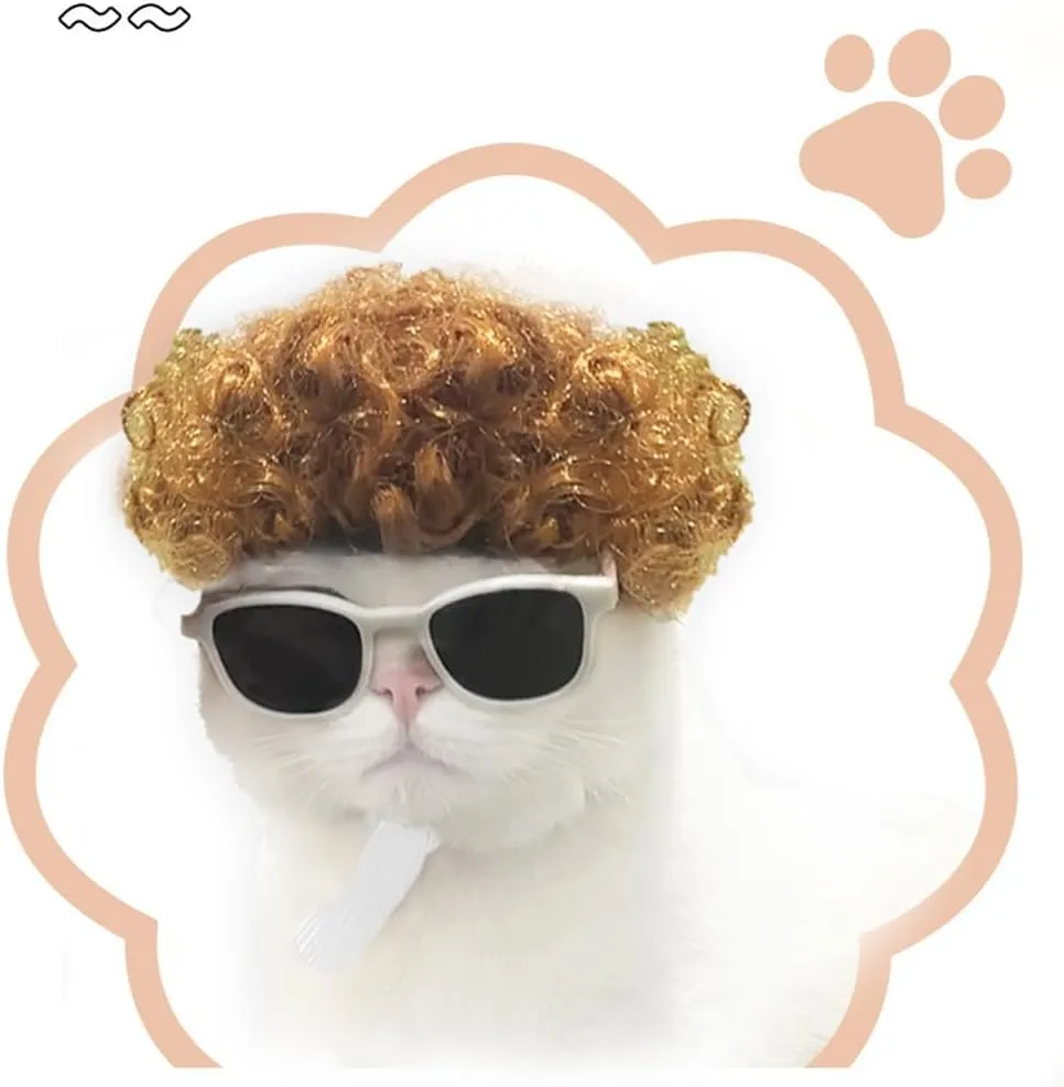 Funny Cat Cosplay Wig, Headwear Apparel Toy, Cat Dress up for Halloween, Christmas, Parties, Festivals(Explosive Yellow)