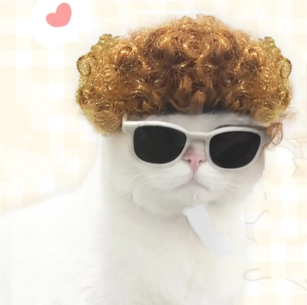 Funny Cat Cosplay Wig, Headwear Apparel Toy, Cat Dress up for Halloween, Christmas, Parties, Festivals(Explosive Yellow)