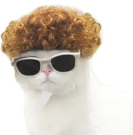 Funny Cat Cosplay Wig, Headwear Apparel Toy, Cat Dress up for Halloween, Christmas, Parties, Festivals(Explosive Yellow)