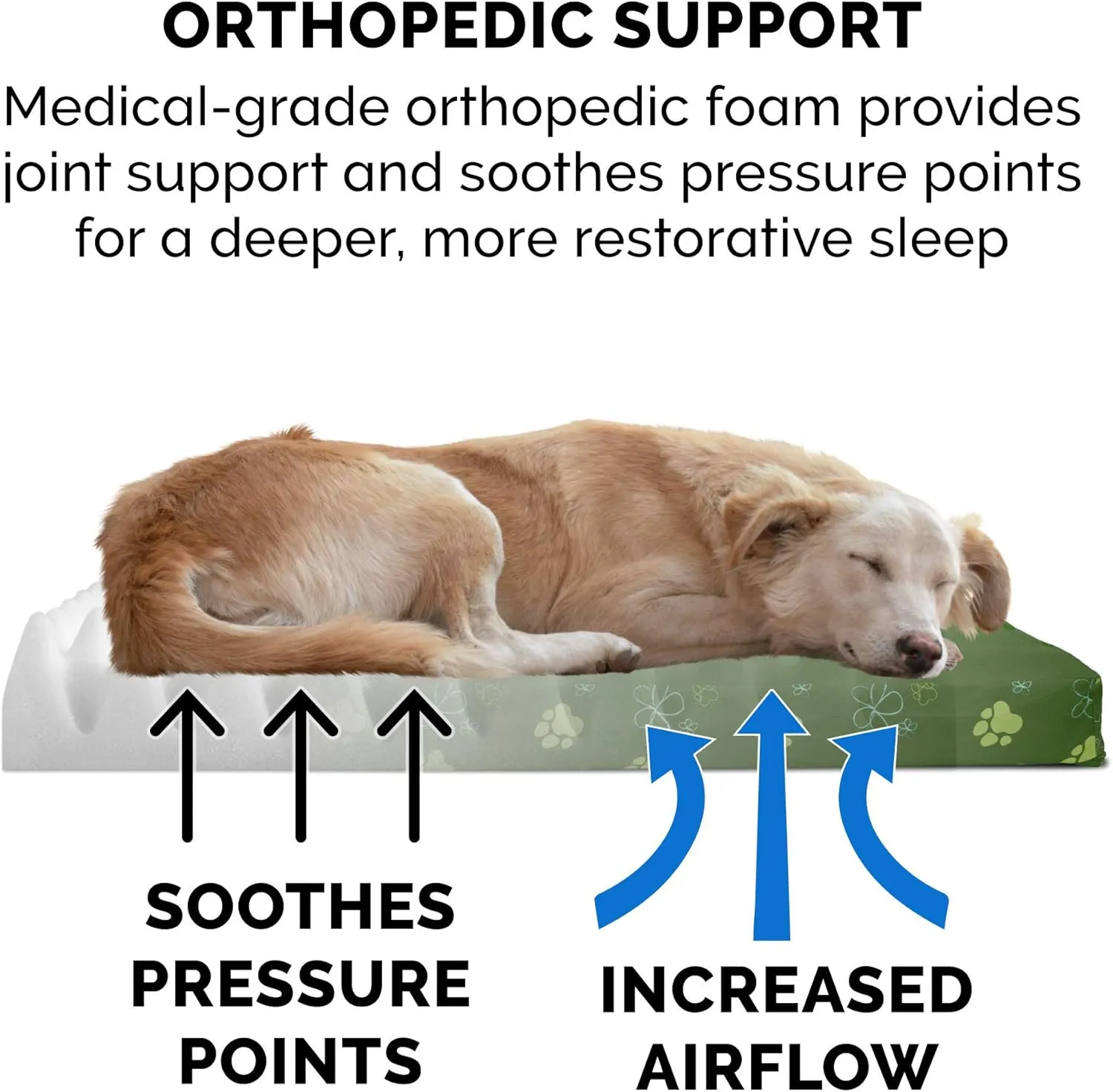 Furhaven Water-Resistant Orthopedic Dog Bed for Medium/Small Dogs w/ Removable Washable Cover, For Dogs Up to 35 lbs - Indoor/Outdoor Garden Print Mattress - Jungle Green, Medium
