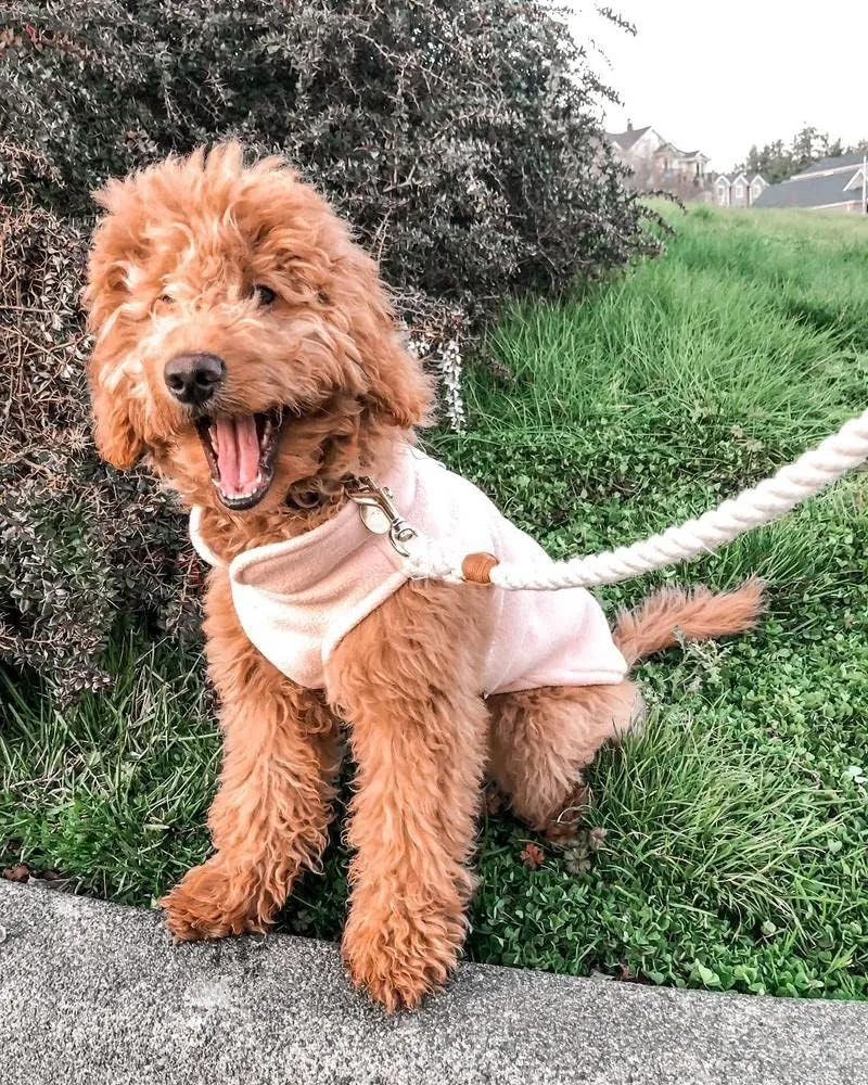 Gooby - Fleece Vest, Small Dog Pullover Fleece Jacket with Leash Ring, Clay, Small