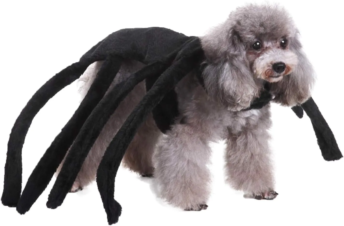 GREUS Halloween Costume for Pet Dogs Cats Spider/Skeleton Pet Costumes for Small Medium Large Dogs Party Costume Clothes Pet Jumpsuit Shirt Cosplay Dress Up Puppy Apparel
