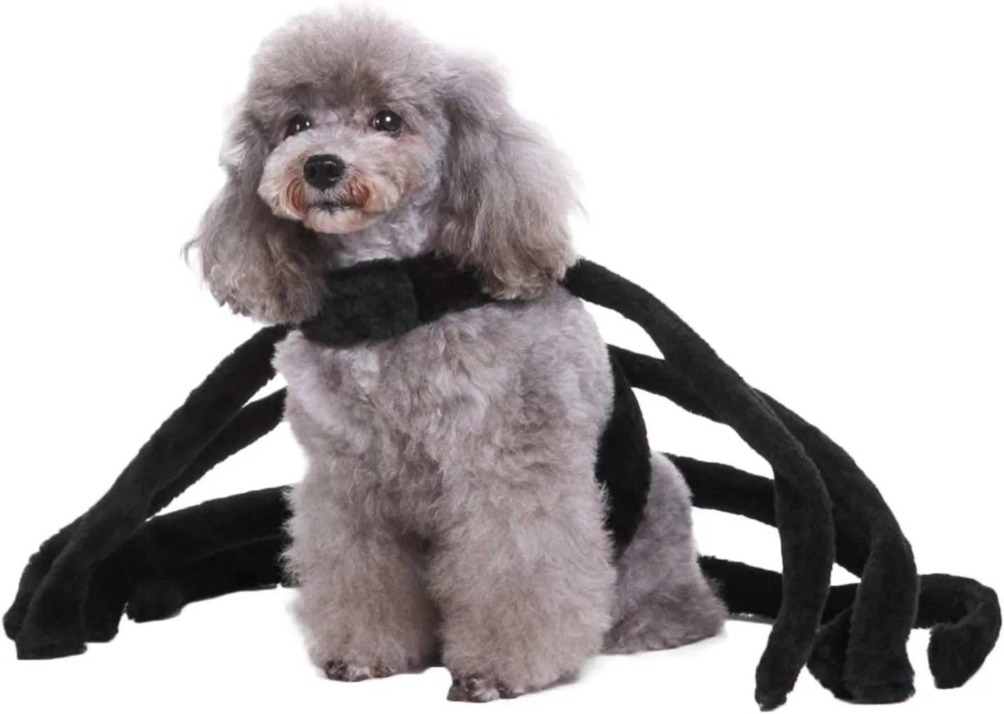 GREUS Halloween Costume for Pet Dogs Cats Spider/Skeleton Pet Costumes for Small Medium Large Dogs Party Costume Clothes Pet Jumpsuit Shirt Cosplay Dress Up Puppy Apparel