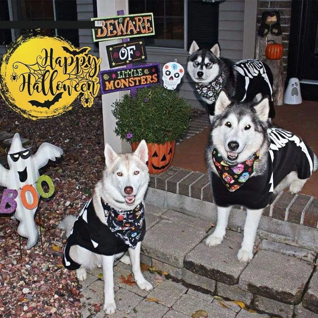 Halloween Costume for Pet Dogs Cats Spider/Skeleton Pet Costumes for Small Medium Large Dogs Party Costume Clothes Pet Jumpsuit Shirt Cosplay Dress Up Puppy Apparel (Large, Black Skull Skeleton)