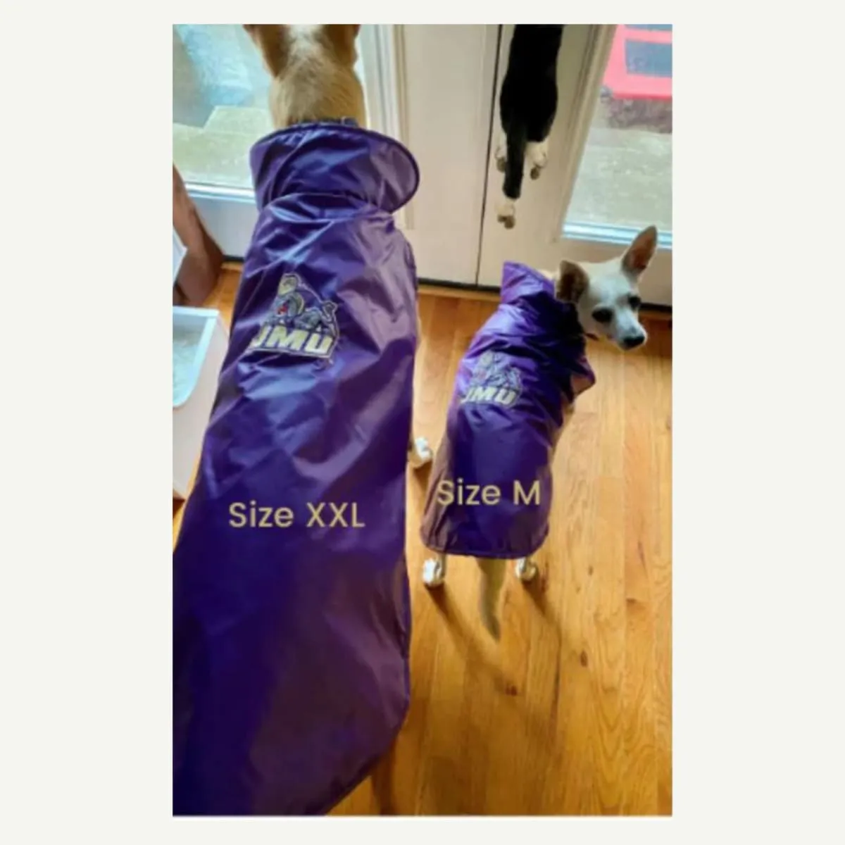 James Madison University Dukes Dog Outerwear Coat
