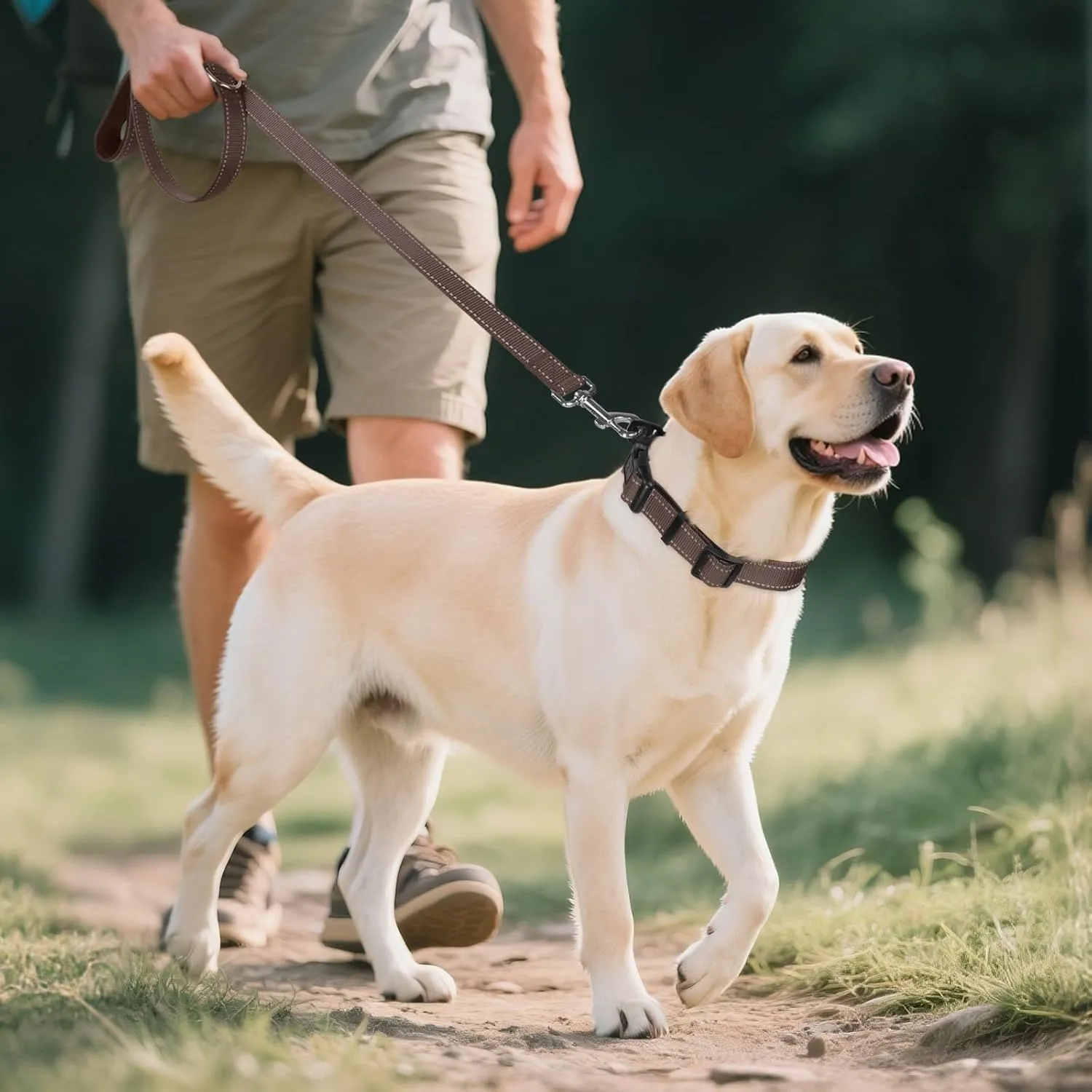 Joytale Reflective Dog Collar,Soft Neoprene Padded Nylon Pet Collar Adjustable for Large Dogs,Brown,Large