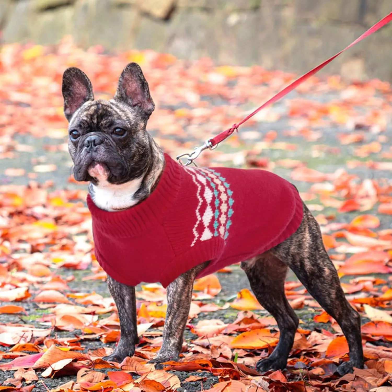 Kuoser Dog Sweater for Small Male Dogs - Knitted Christmas Pullover, Fall Winter Puppy Apparel for Chihuahua, Bulldog, Dachshund, Pug, Yorkie - Red, Size S