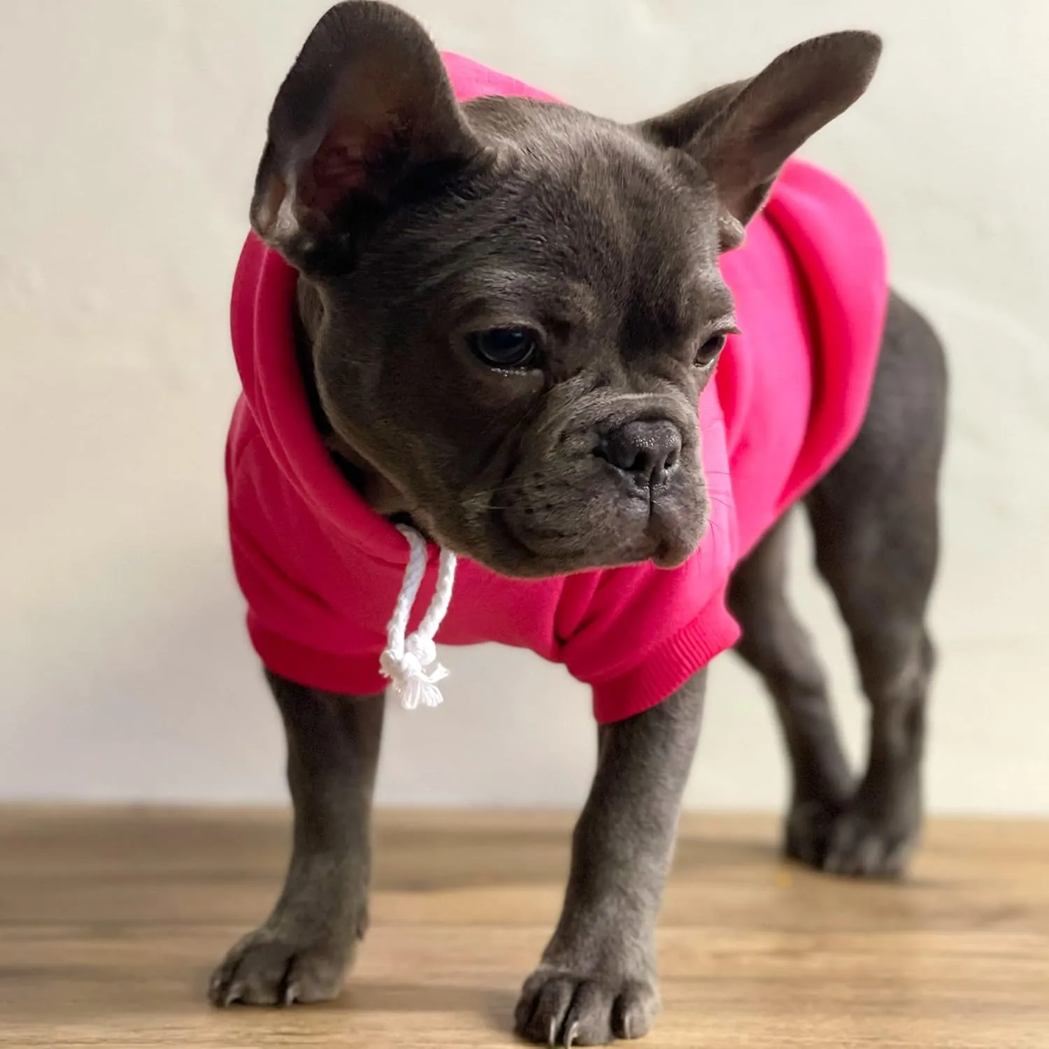 My Mom is Single Dog Hoodie Fleece Lined Pullover Sweatshirt with Leash Hole (Red, 6X-Large 115)