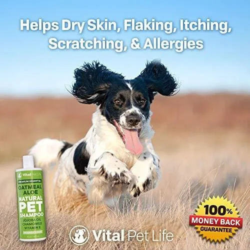 Shampoo for Dogs & Cats with Oatmeal, Aloe Vera, Chamomile, Jojoba Oil, Vitamin E - All Natural and Hypoallergenic, Helps Dry Coats & Itchy Sensitive Skin, No Parabens or Artificial Dyes, 16 oz