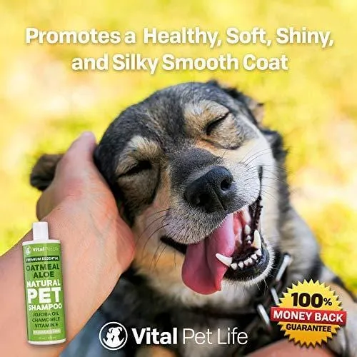 Shampoo for Dogs & Cats with Oatmeal, Aloe Vera, Chamomile, Jojoba Oil, Vitamin E - All Natural and Hypoallergenic, Helps Dry Coats & Itchy Sensitive Skin, No Parabens or Artificial Dyes, 16 oz