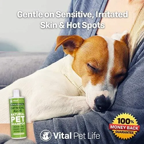 Shampoo for Dogs & Cats with Oatmeal, Aloe Vera, Chamomile, Jojoba Oil, Vitamin E - All Natural and Hypoallergenic, Helps Dry Coats & Itchy Sensitive Skin, No Parabens or Artificial Dyes, 16 oz
