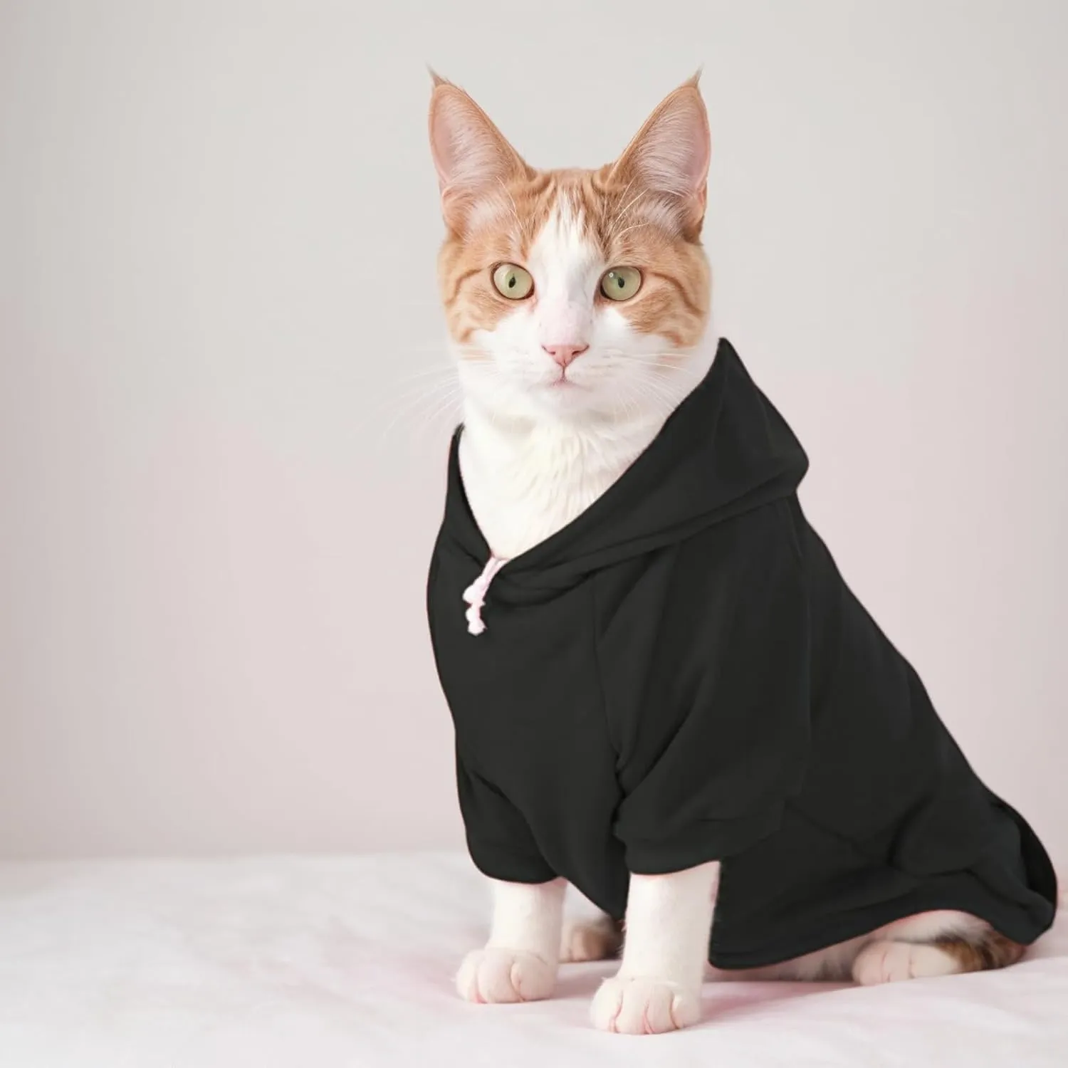 Small Dog Hoodie with Leash Hole and Pocket, Soft Winter Dog Sweater, Cozy Hoodies Sweatshirt for Small Dogs Puppy and Cat, Cold Weather Pet Clothes (Black Dog Hoodie, S)
