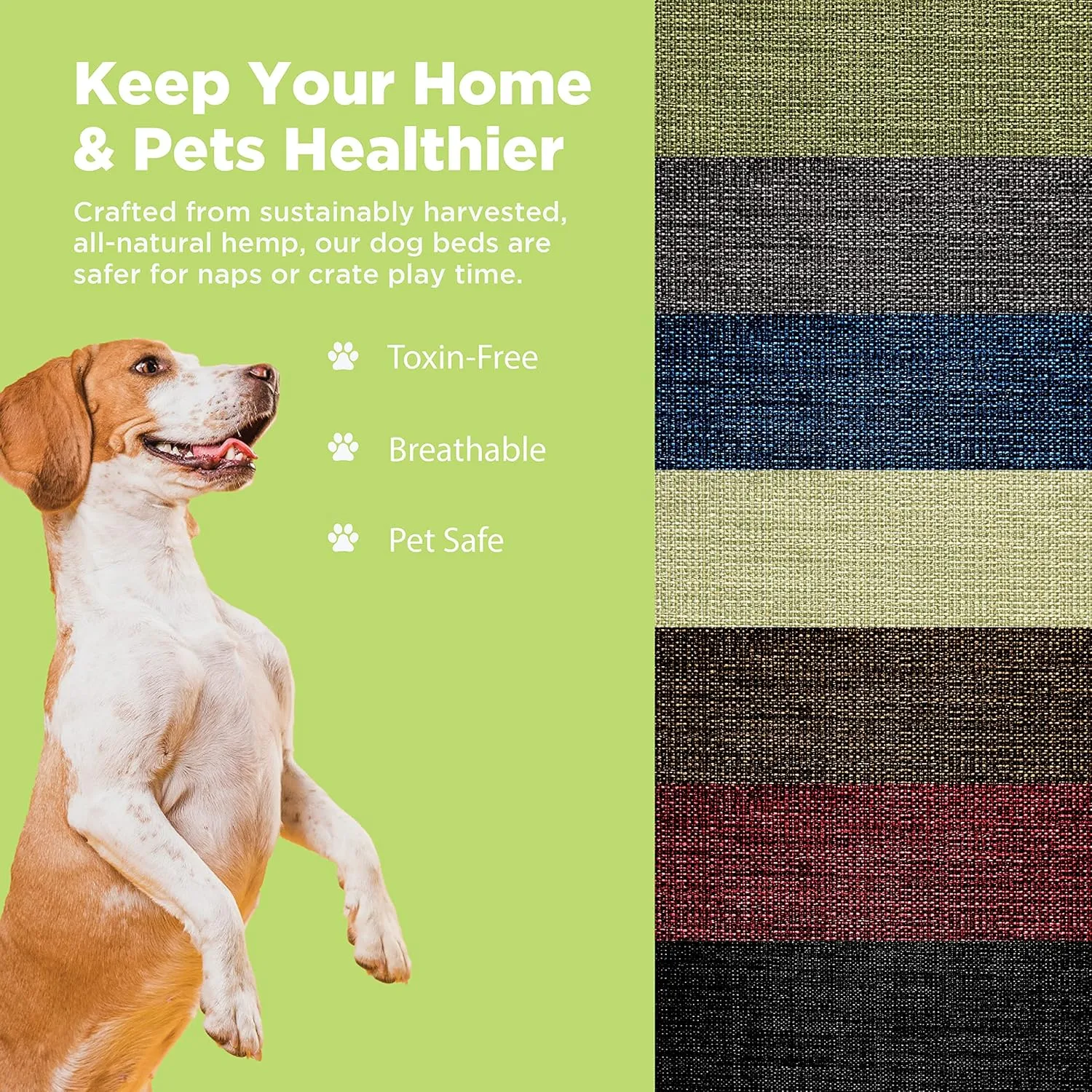 X-Large - 48 x 30 x 5 - Cactus Premium Organic Hemp Dog Bed - Organic Latex Fill - Removeable Cover