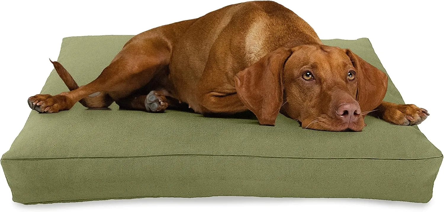 X-Large - 48 x 30 x 5 - Cactus Premium Organic Hemp Dog Bed - Organic Latex Fill - Removeable Cover