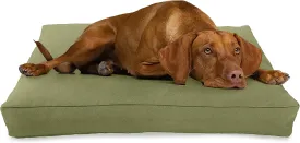 X-Large - 48 x 30 x 5 - Cactus Premium Organic Hemp Dog Bed - Organic Latex Fill - Removeable Cover