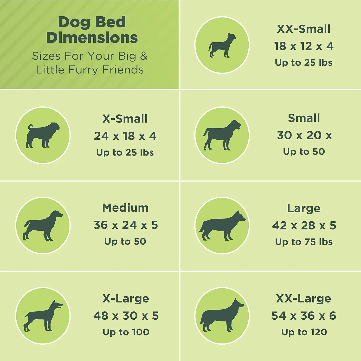 X-Large - 48 x 30 x 5 - Cactus Premium Organic Hemp Dog Bed - Organic Latex Fill - Removeable Cover